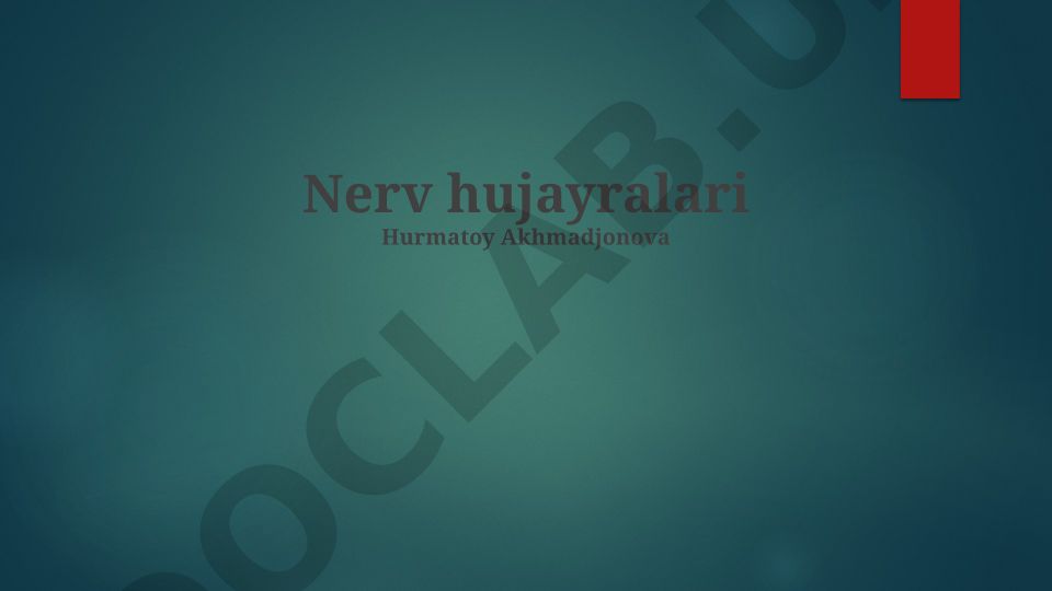 Nerv hujayralari: tuzilishi, turlari va funksiyalari