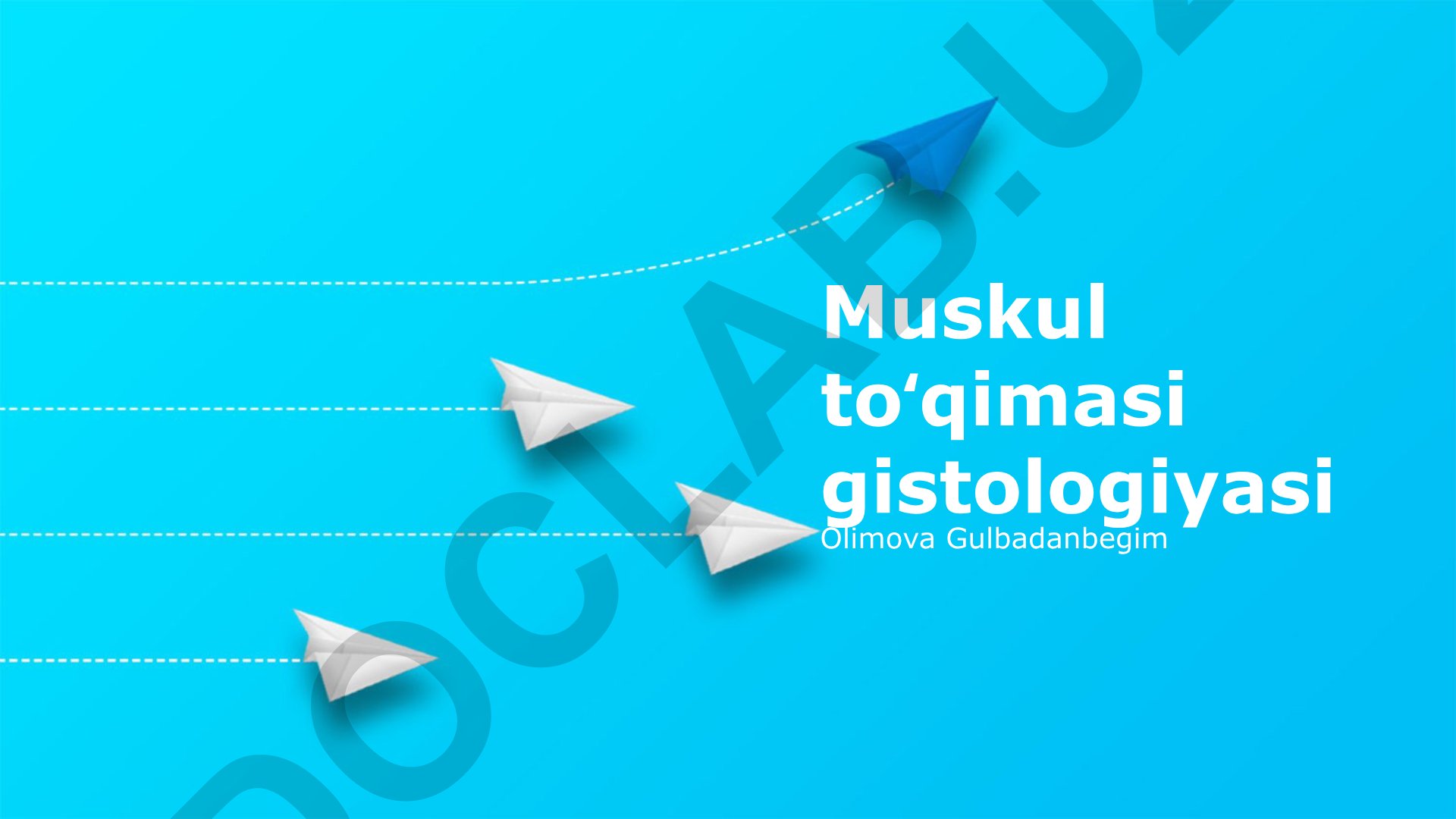 Muskul toʻqimasi gistologiyasi