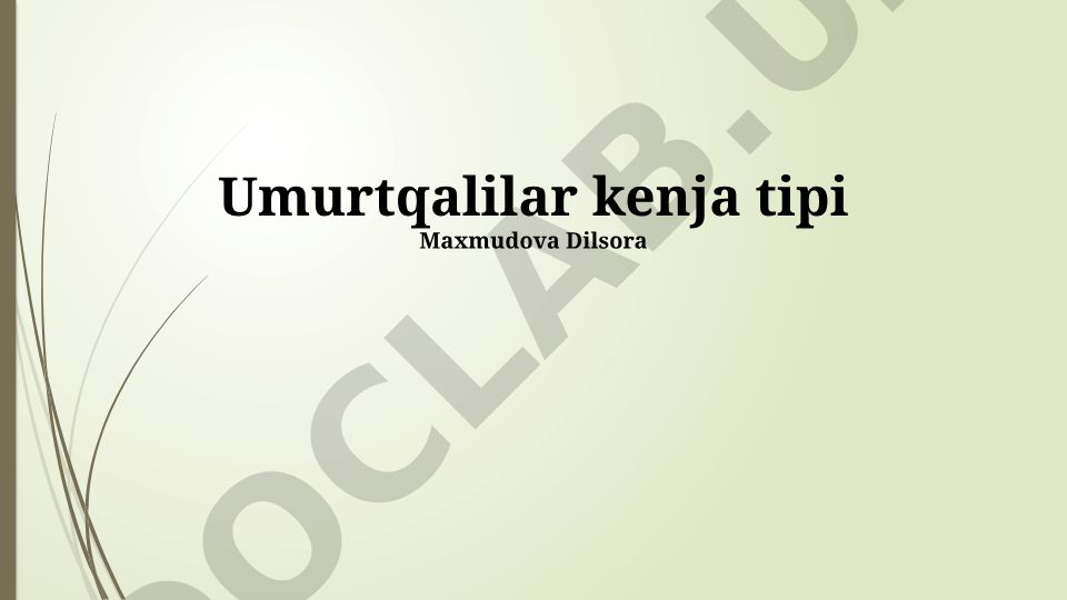 Umurtqali hayvonlarning turlari, xususiyatlari va ahamiyati