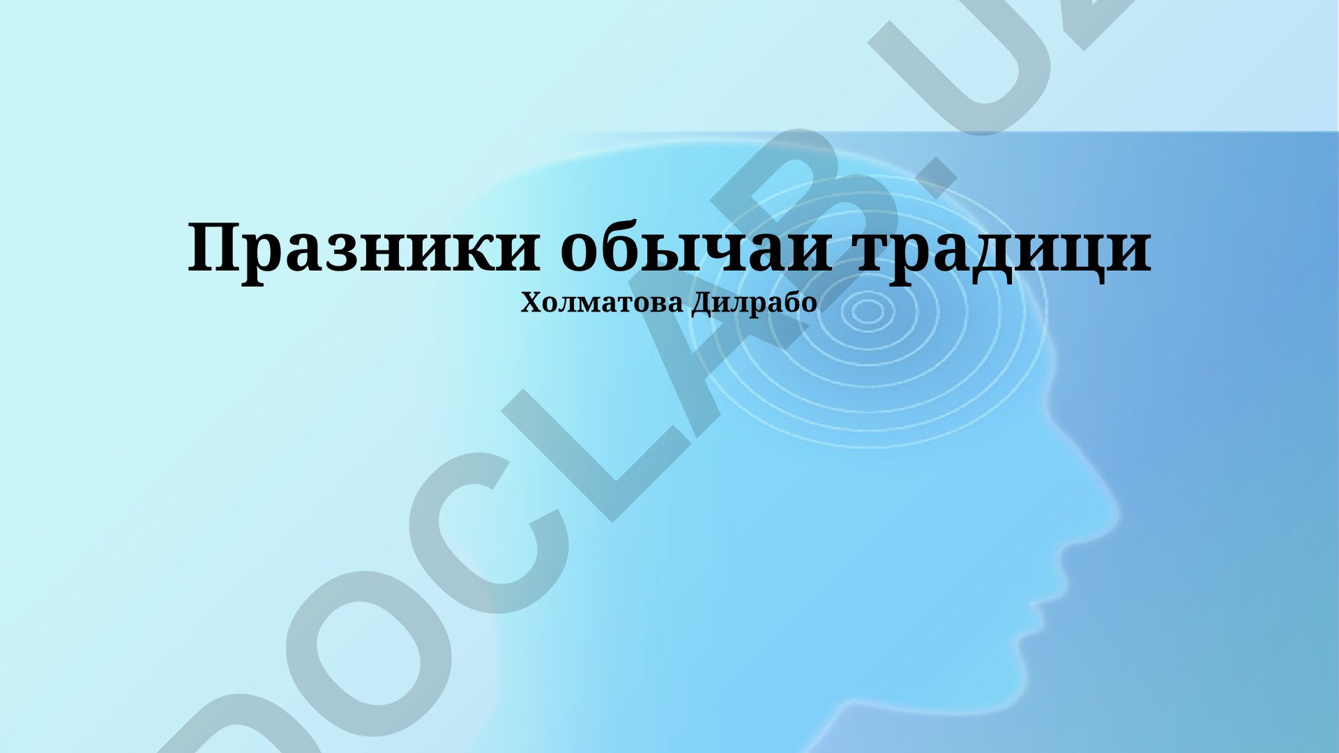 Праздничные обычаи и традиции мира