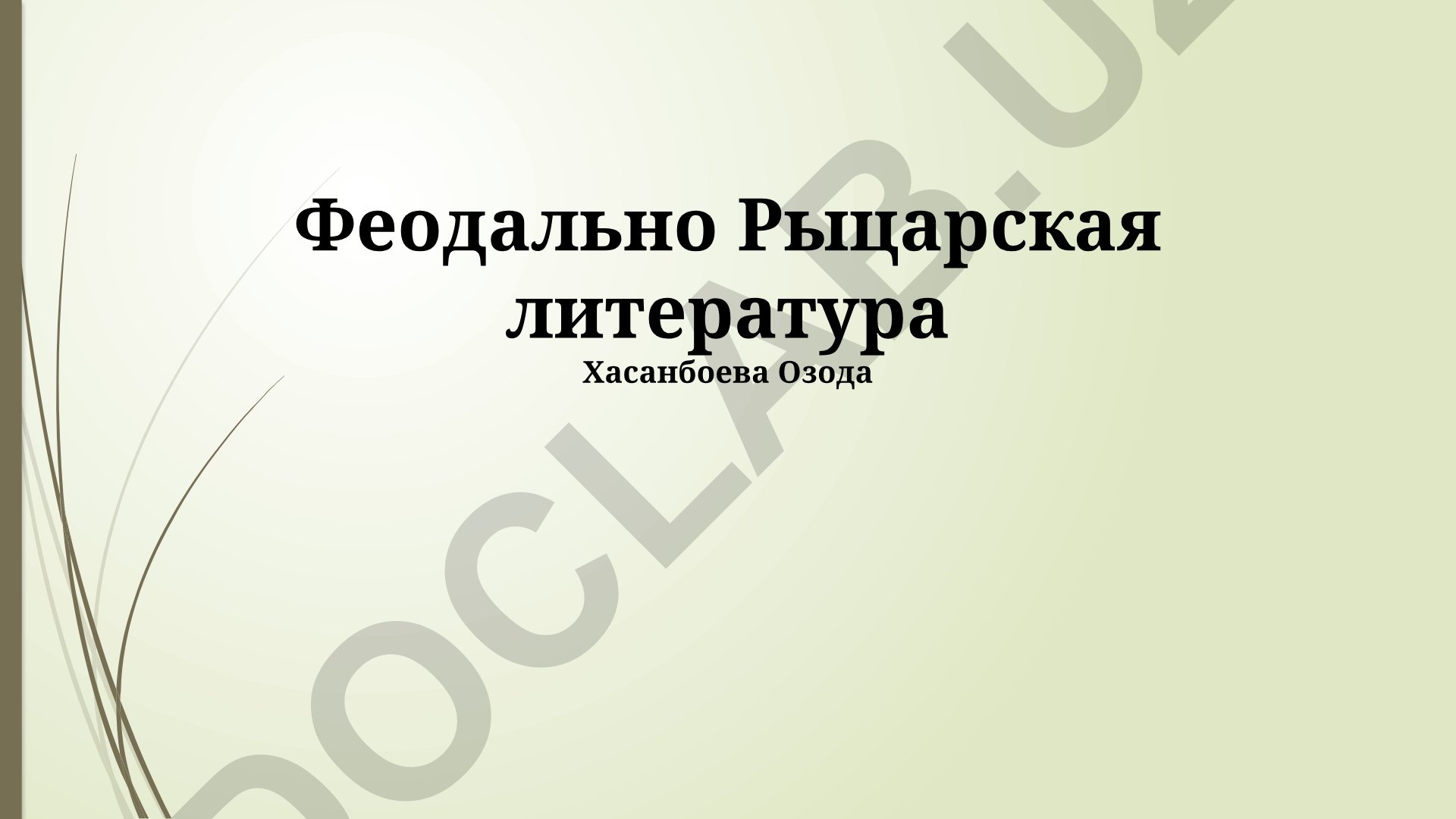 Феодально-рыцарская литература: герои, жанры и развитие