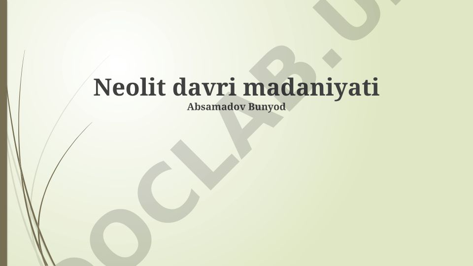 Neolit davri madaniyati