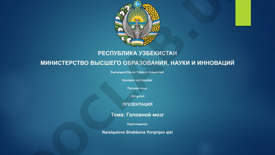 Головной мозг