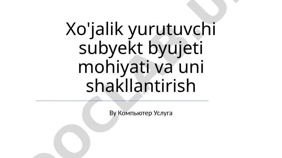 Xo'jalik yurutuvchi subyekt byujeti mohiyati va uni shakllantirish