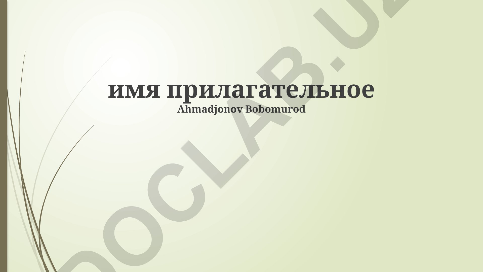 Имя прилагательное в русском языке: синтаксическая роль, степени сравнения и краткие формы