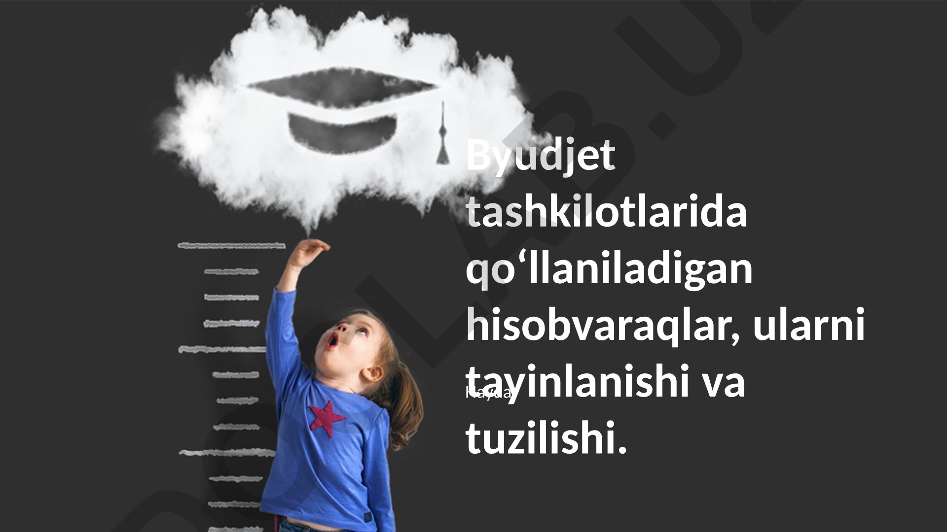 Byudjet tashkilotlarida hisobvaraqlar va ularning tuzilishi