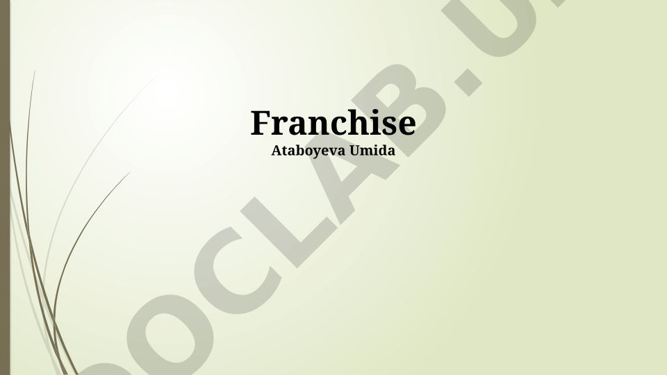 Understanding Franchises: A Comprehensive Overview