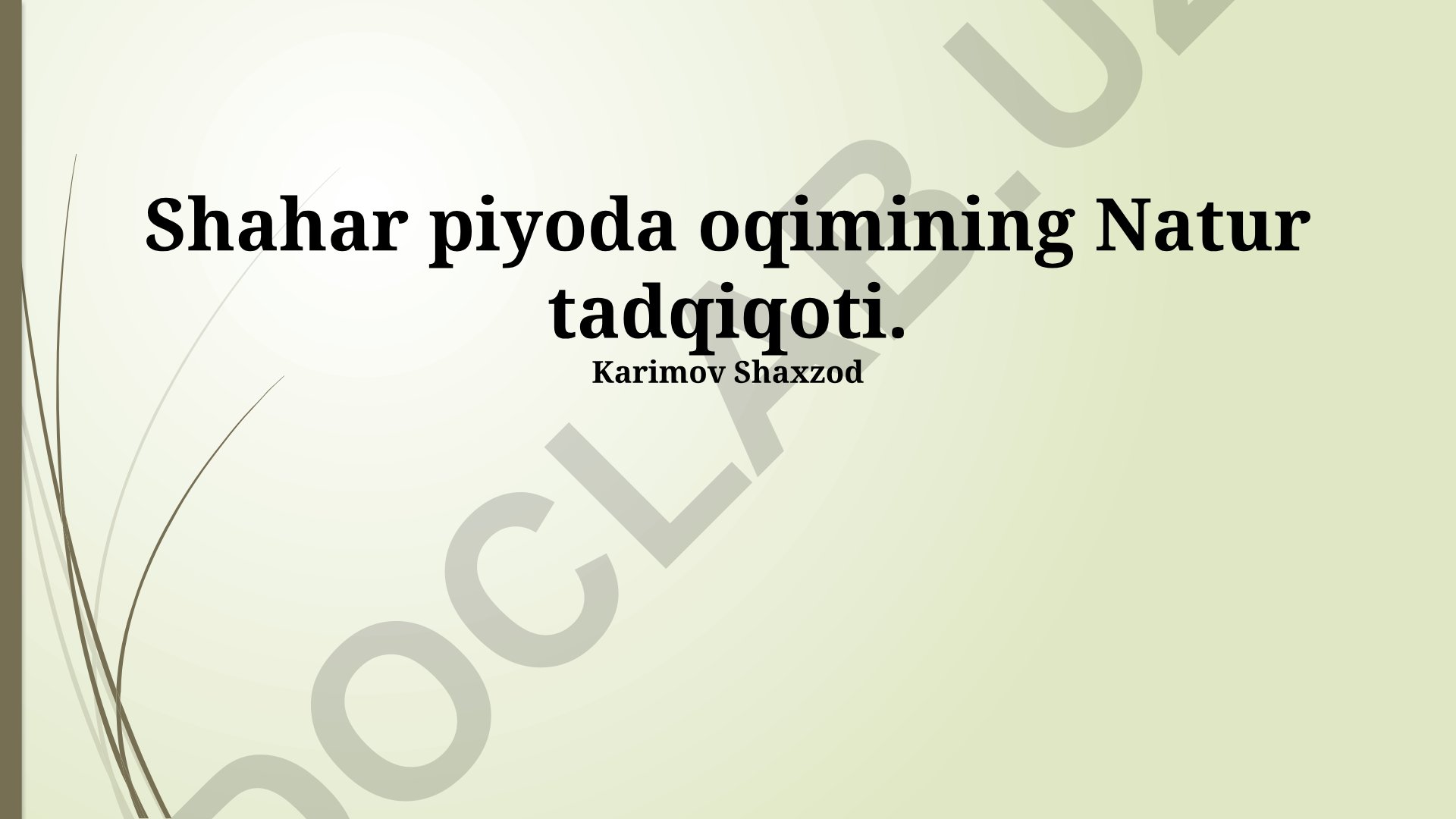 Shahar piyoda oqimining Natur tadqiqoti