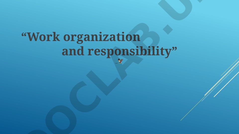 Work Organization and Responsibility