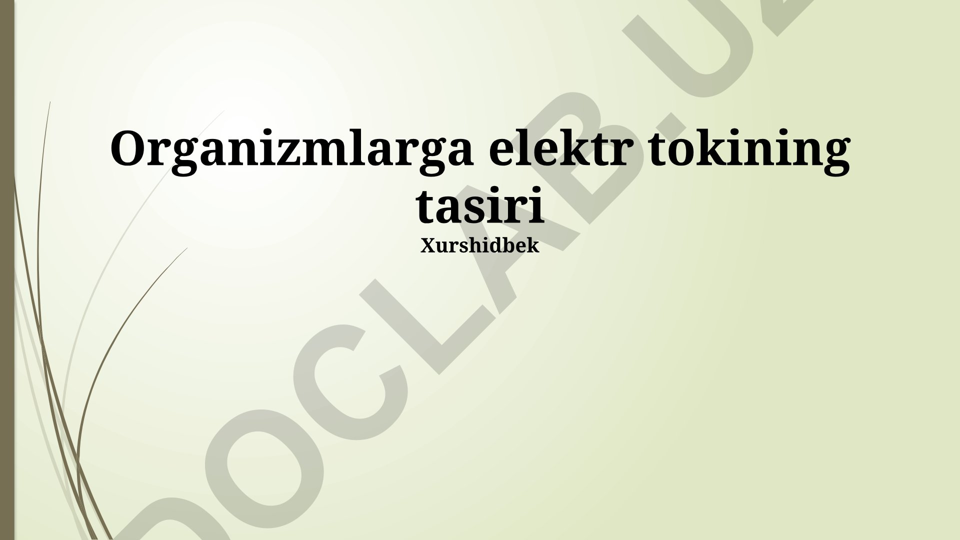 Organizmlarga elektr tokining ta'siri