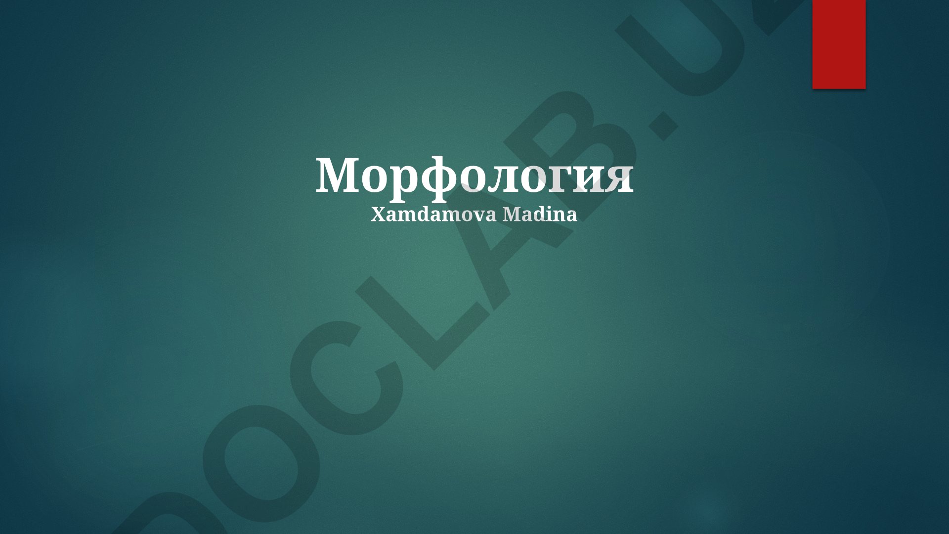 Морфология русского языка: части речи и морфемный анализ