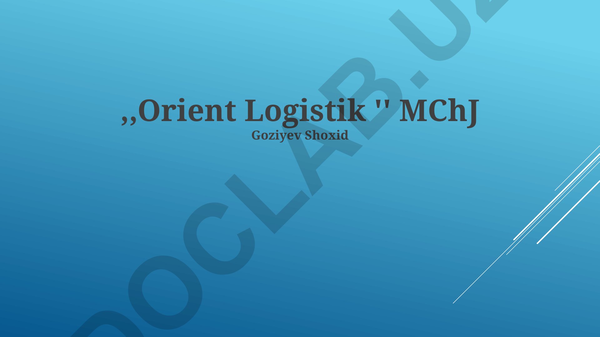 Orient Logistik MChJ bozor pozitsiyasi va kelajak rejalari