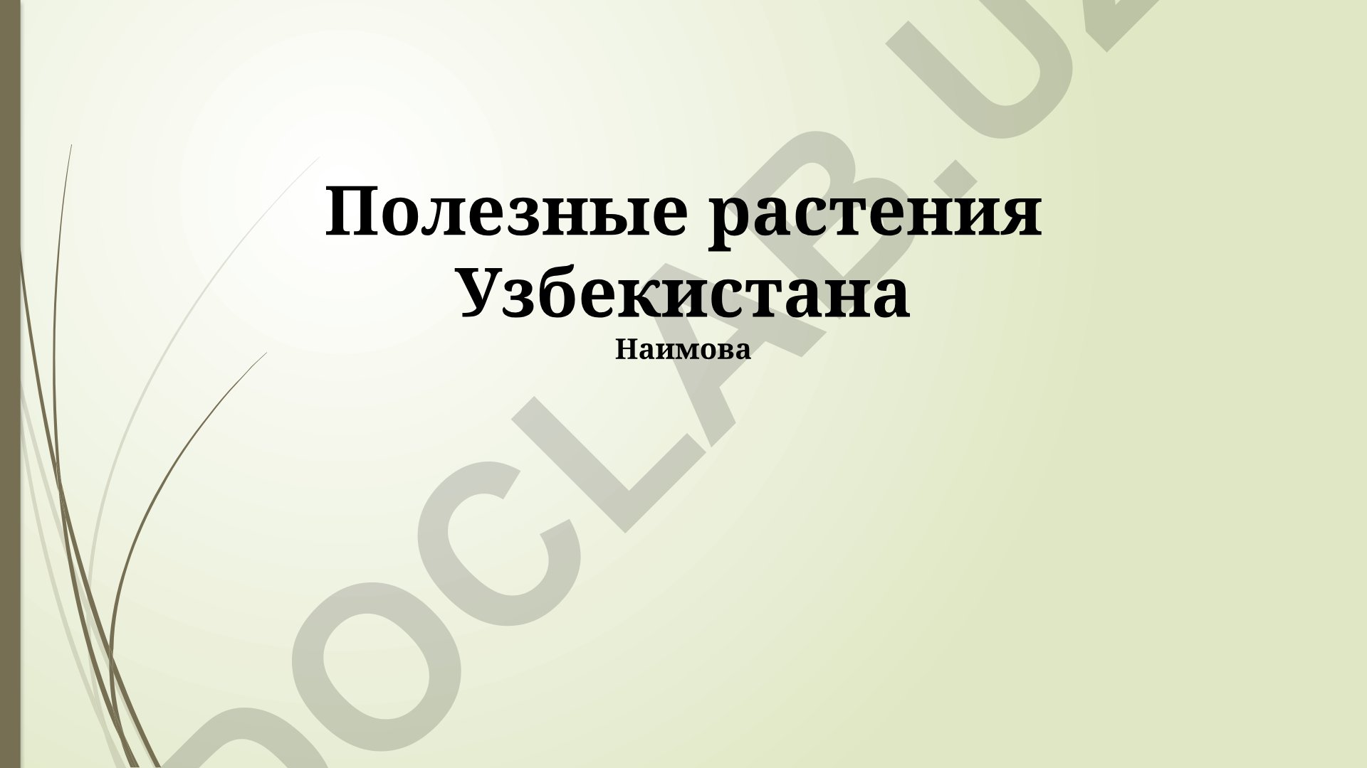 Полезные растения Узбекистана