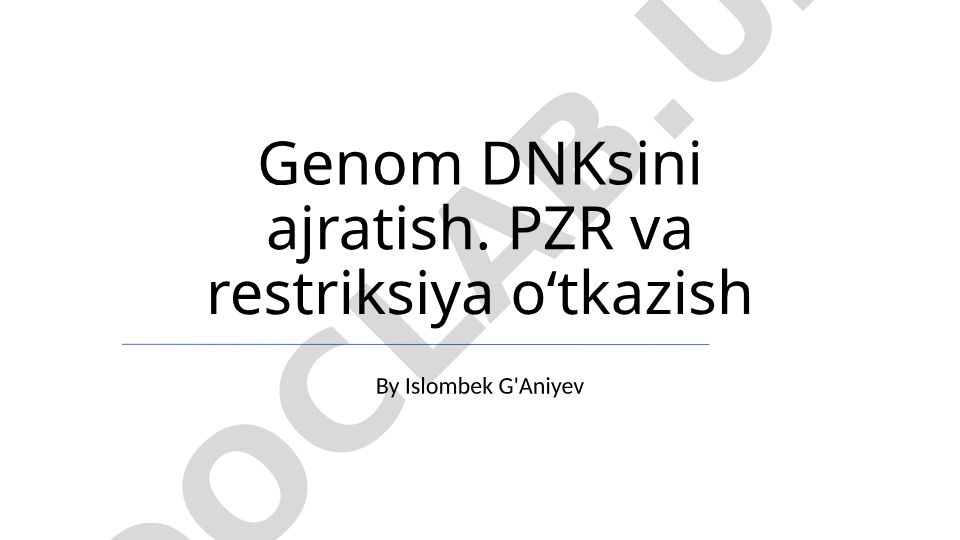Genom DNKsini ajratish, PZR va restriksiya oʻtkazish