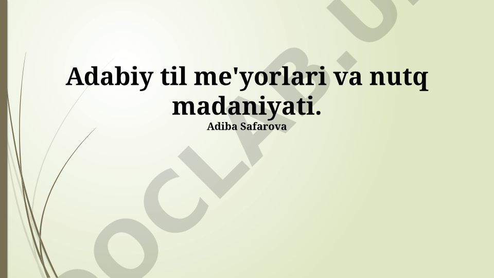 Adabiy til me'yorlari va nutq madaniyati