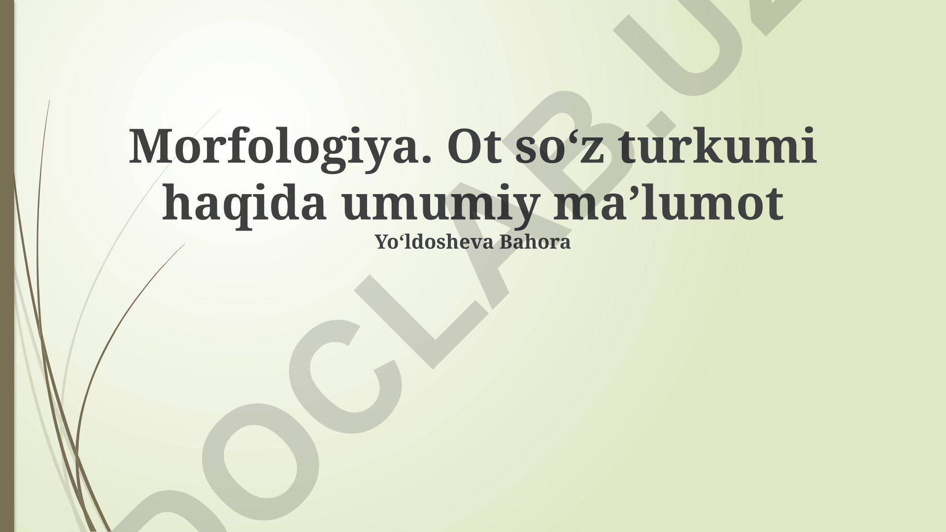 Morfologiya va ot soʻz turkumi haqida umumiy maʼlumot