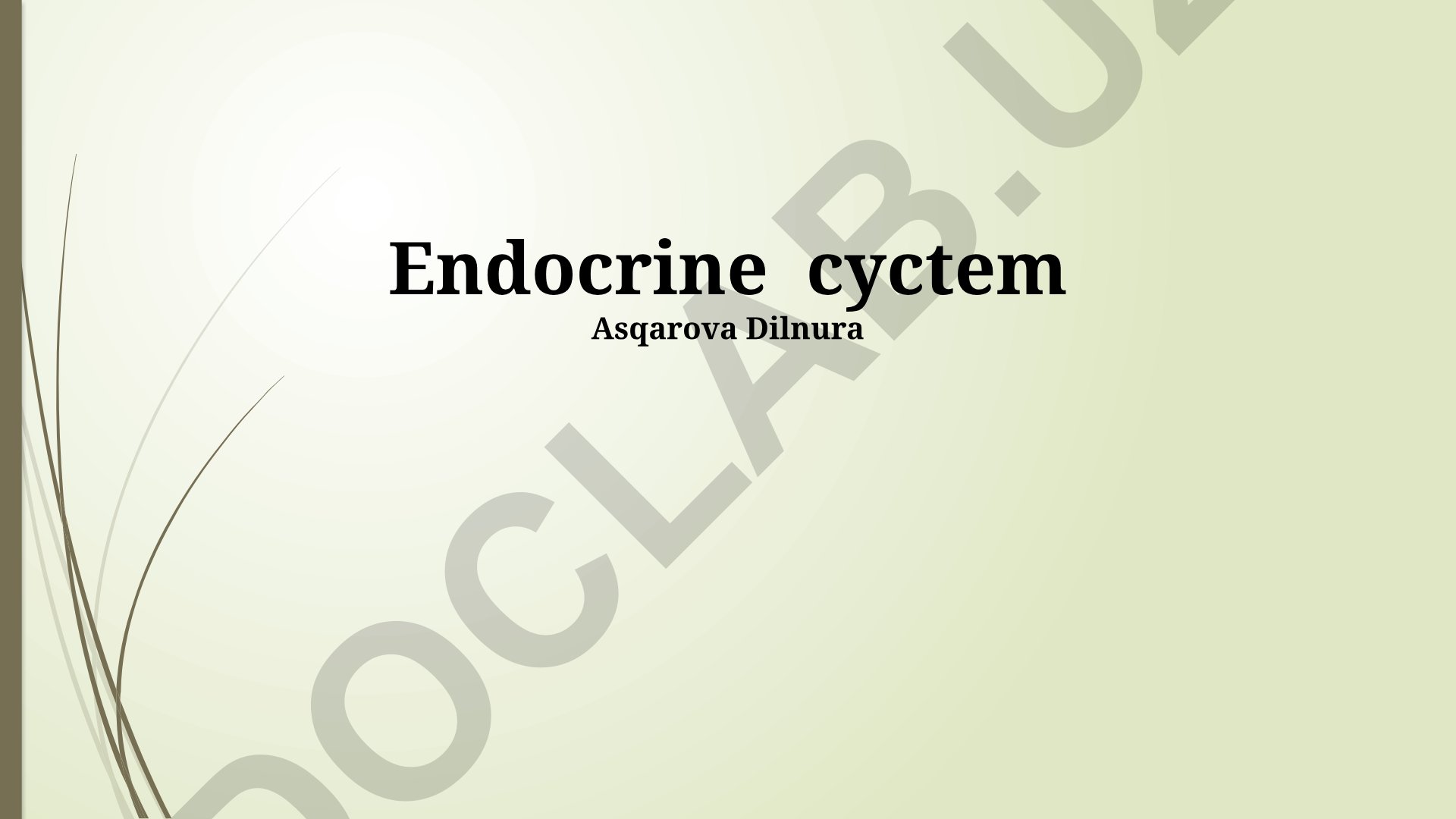 Endocrine System: Glands, Hormones and Disorders