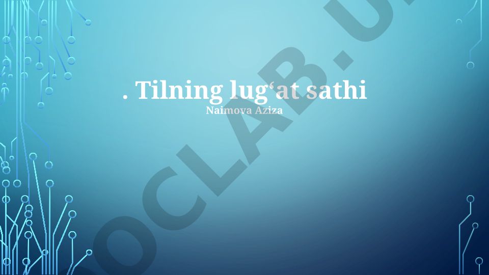 Lug'at darajasidagi til modeli: ta'rif, arxitektura va o'qitish