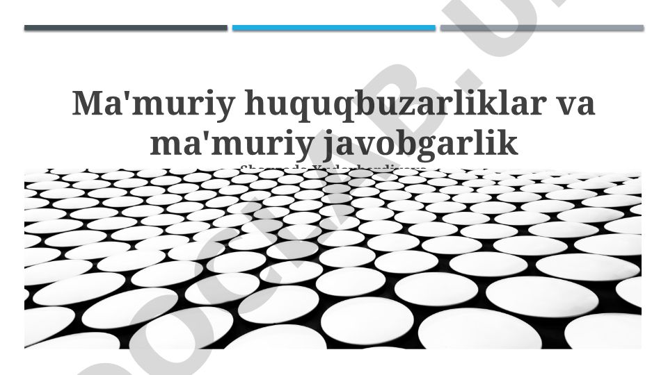 Ma'muriy huquqbuzarlik va ma'muriy javobgarlik