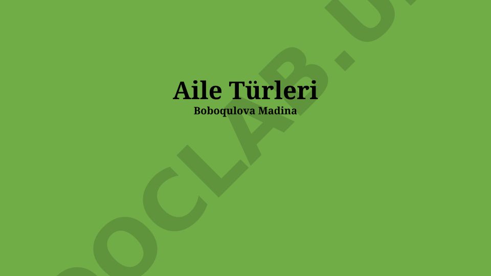 Aile Türleri ve Dinamikleri