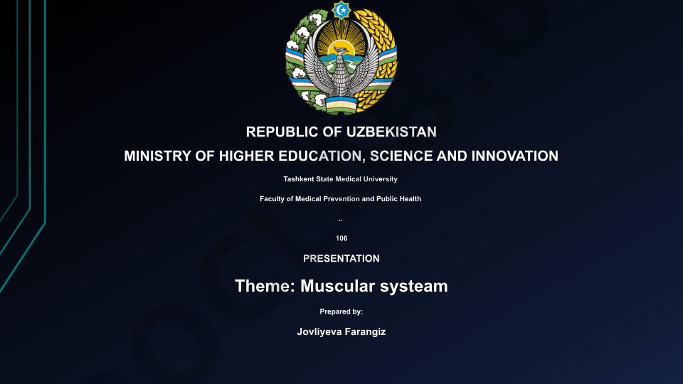 Muscular systeam