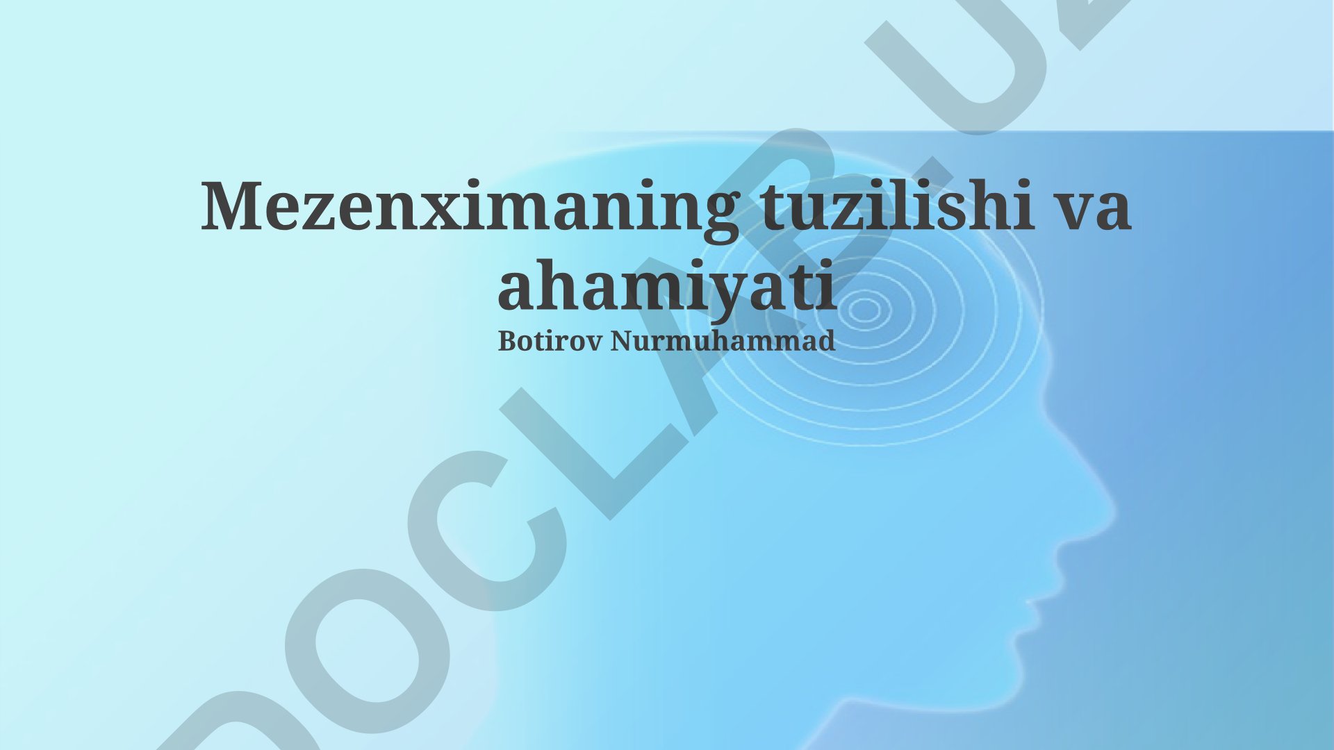 Mezenximaning tuzilishi va ahamiyati
