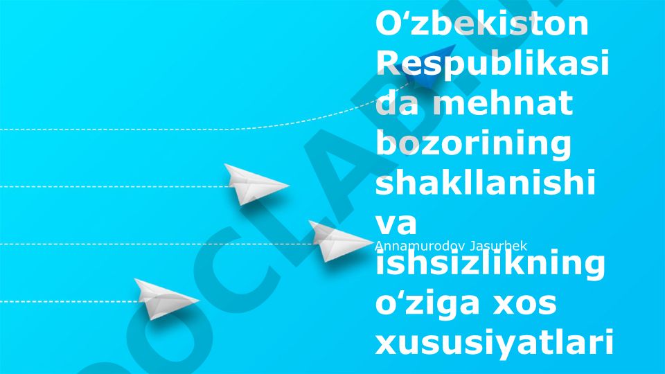 Oʻzbekiston Respublikasida mehnat bozorining shakllanishi va ishsizlikning oʻziga xos xususiyatlari