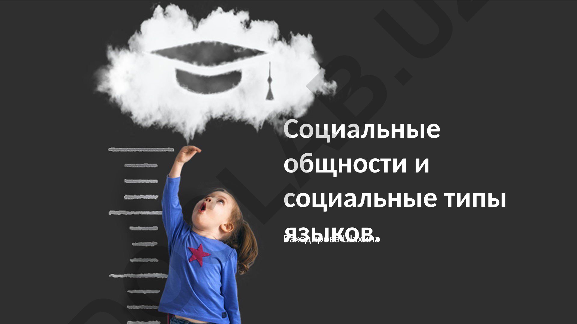 Социальные общности и социальные типы языков