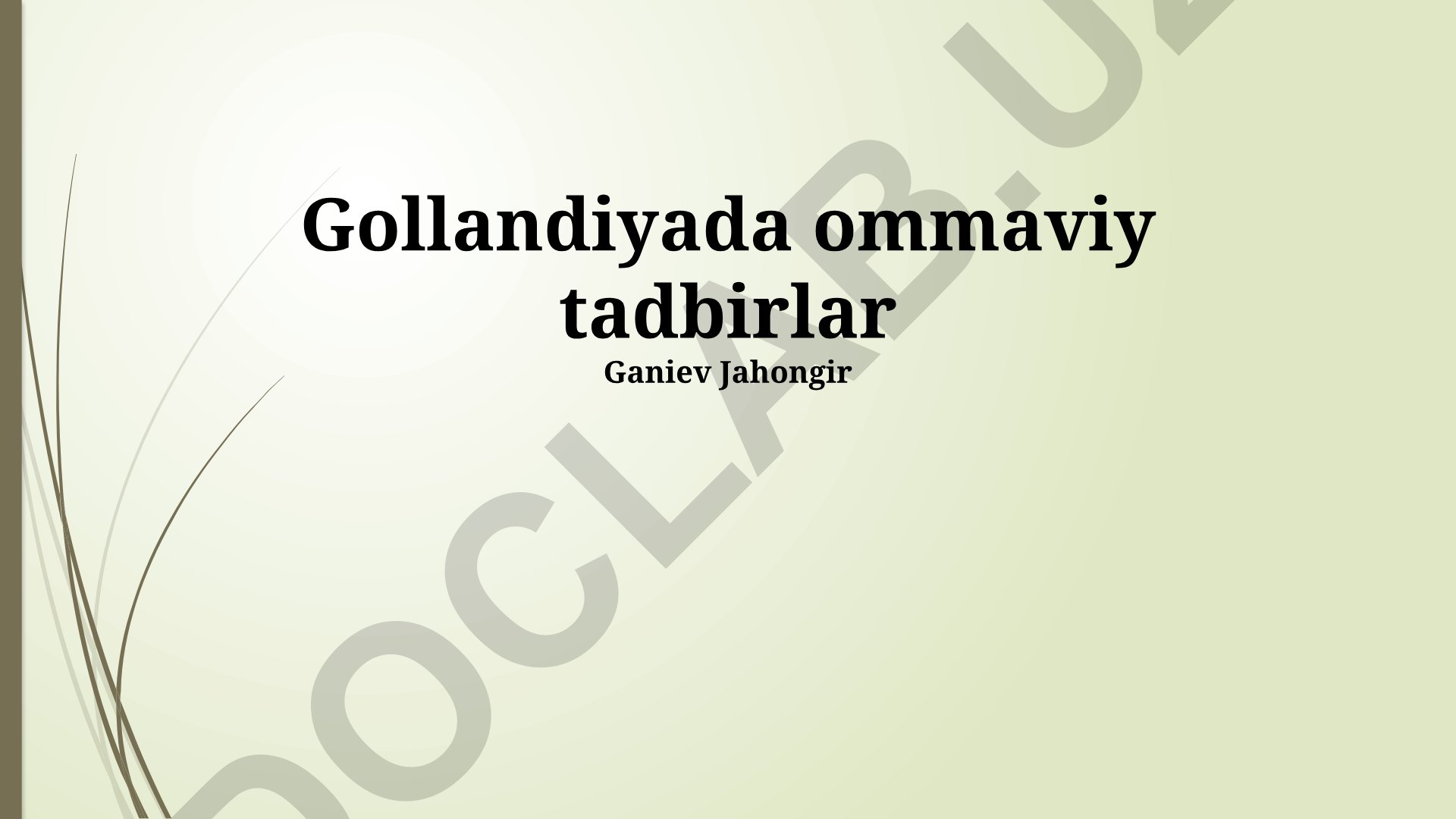 Gollandiyada ommaviy tadbirlar