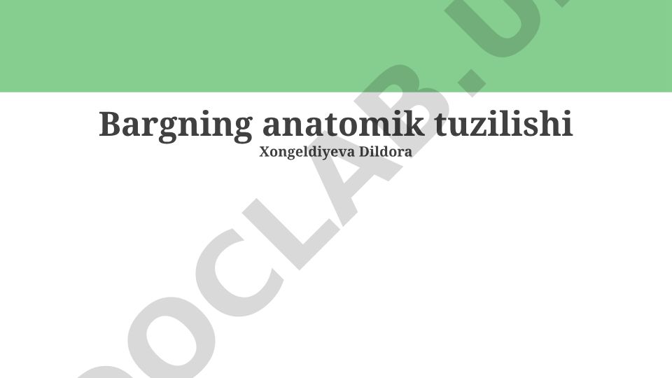 Bargning anatomik tuzilishi
