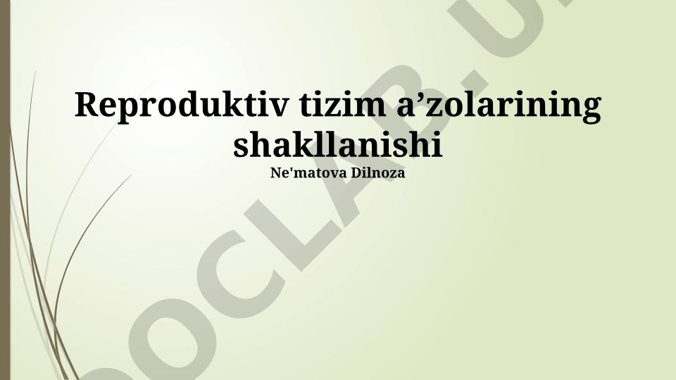 Reproduktiv tizim aʼzolarining shakllanishi
