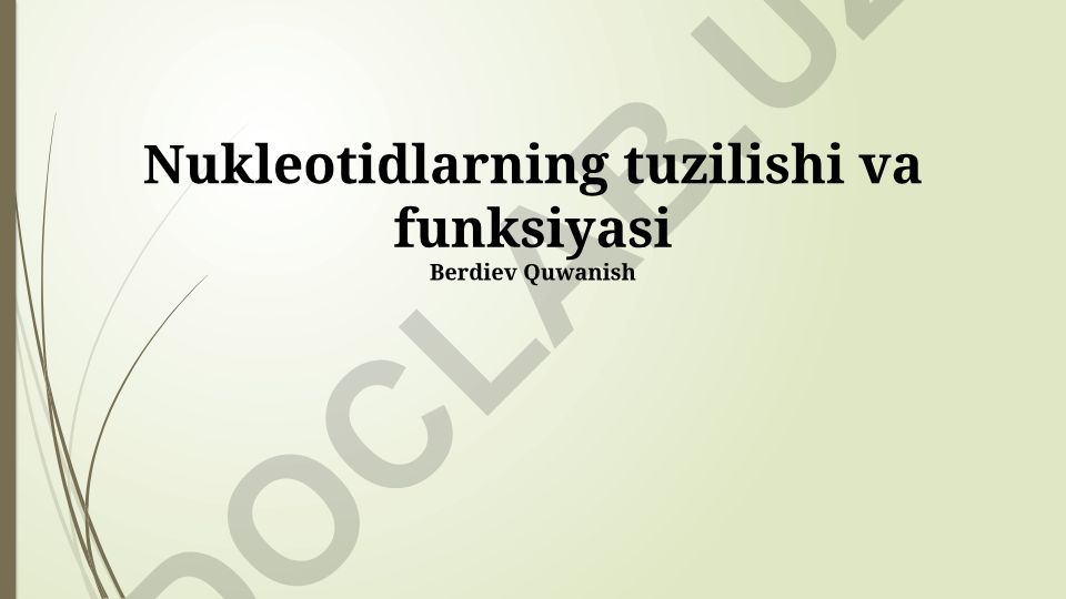 Nukleotidlarning tuzilishi va funksiyasi