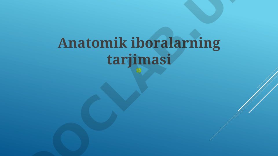 Anatomik atamalarni tarjima qilishdagi qiyinchiliklar va yechimlar