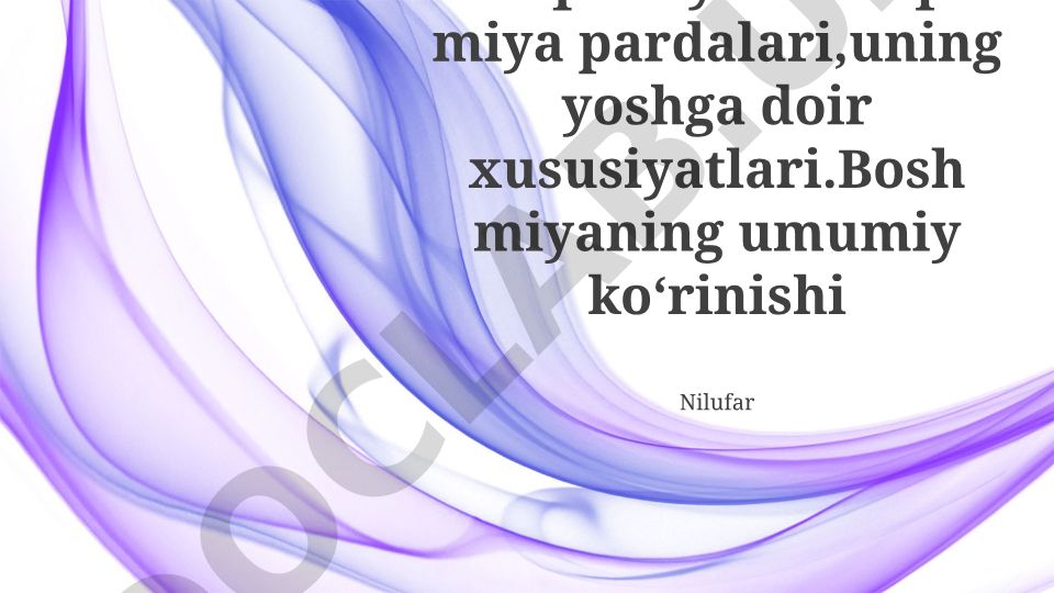 Orqa miya va orqa miya pardalari: yoshga bog'liq o'zgarishlar