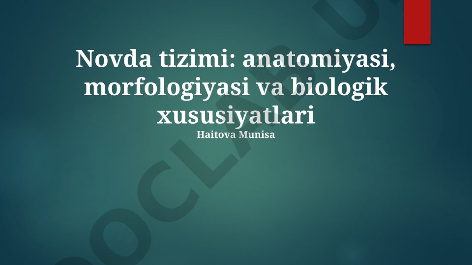 Nerv sistemasining anatomiyasi, morfologiyasi va biologik xususiyatlari