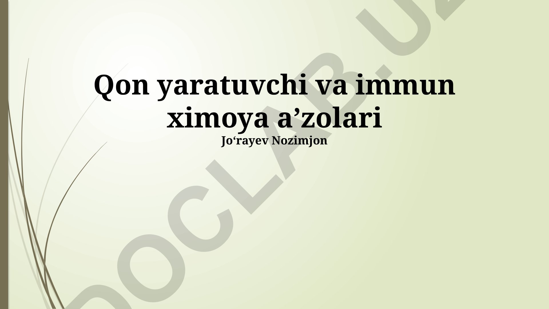 Immunitet hujayralari va suyak ko'migi tuzilishi