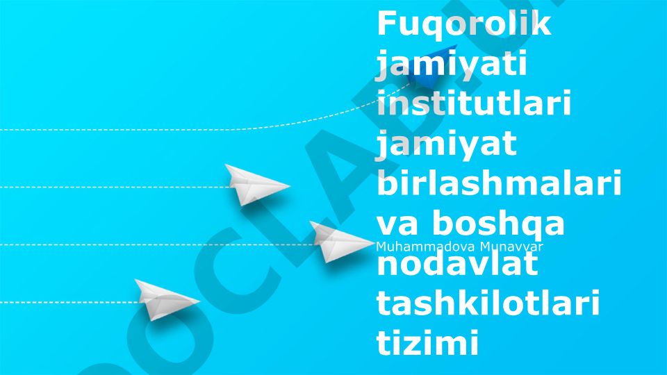 Fuqarolik jamiyati institutlari: ta'rif, turlari va muammolari