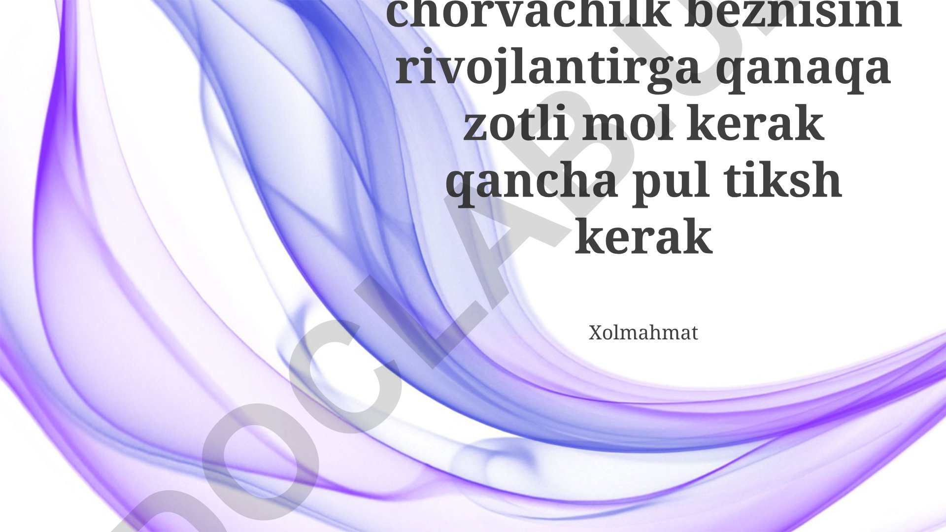 Chorvachilik biznesini rivojlantirish uchun moliyaviy reja va zotli mol tanlash