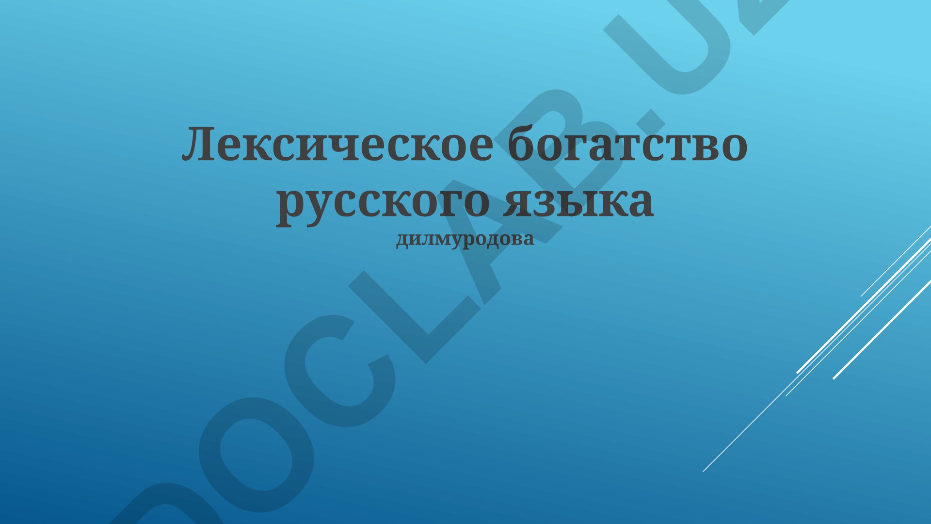 Лексическое богатство русского языка