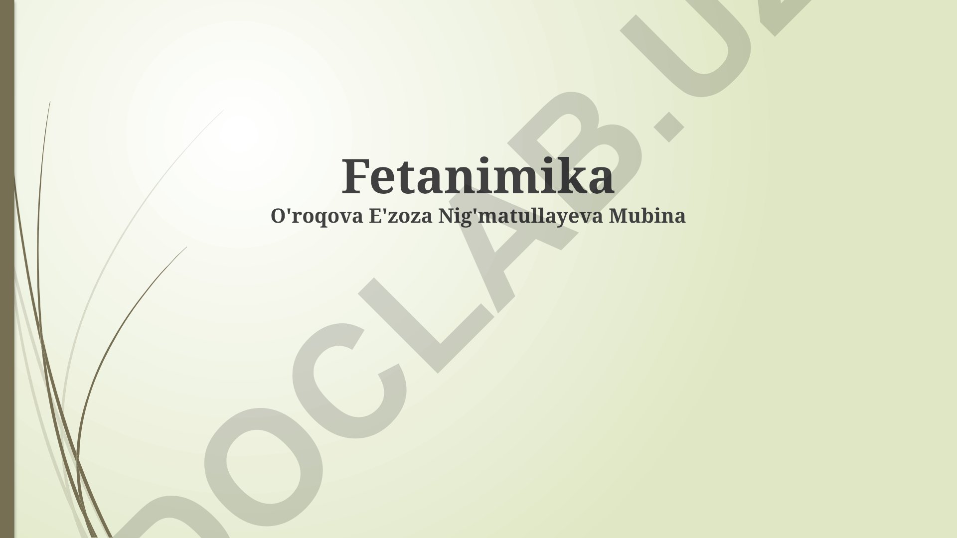 Tushunish ko'nikmalarini rivojlantirish va tushunmovchilikning sabablari