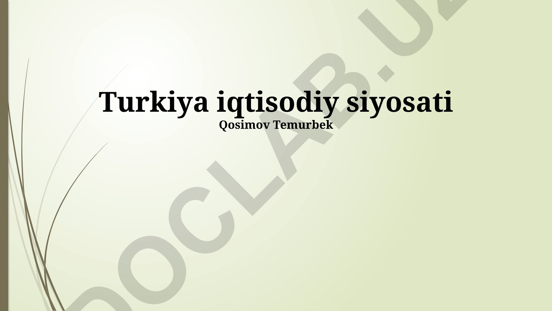 Turkiya iqtisodiy siyosati: so'nggi o'zgarishlar, tendensiyalar va istiqbollar