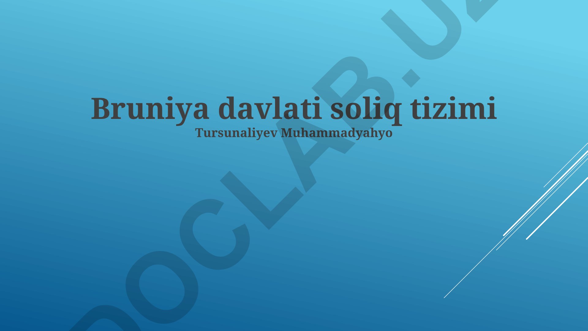 Bruney davlati soliq tizimi
