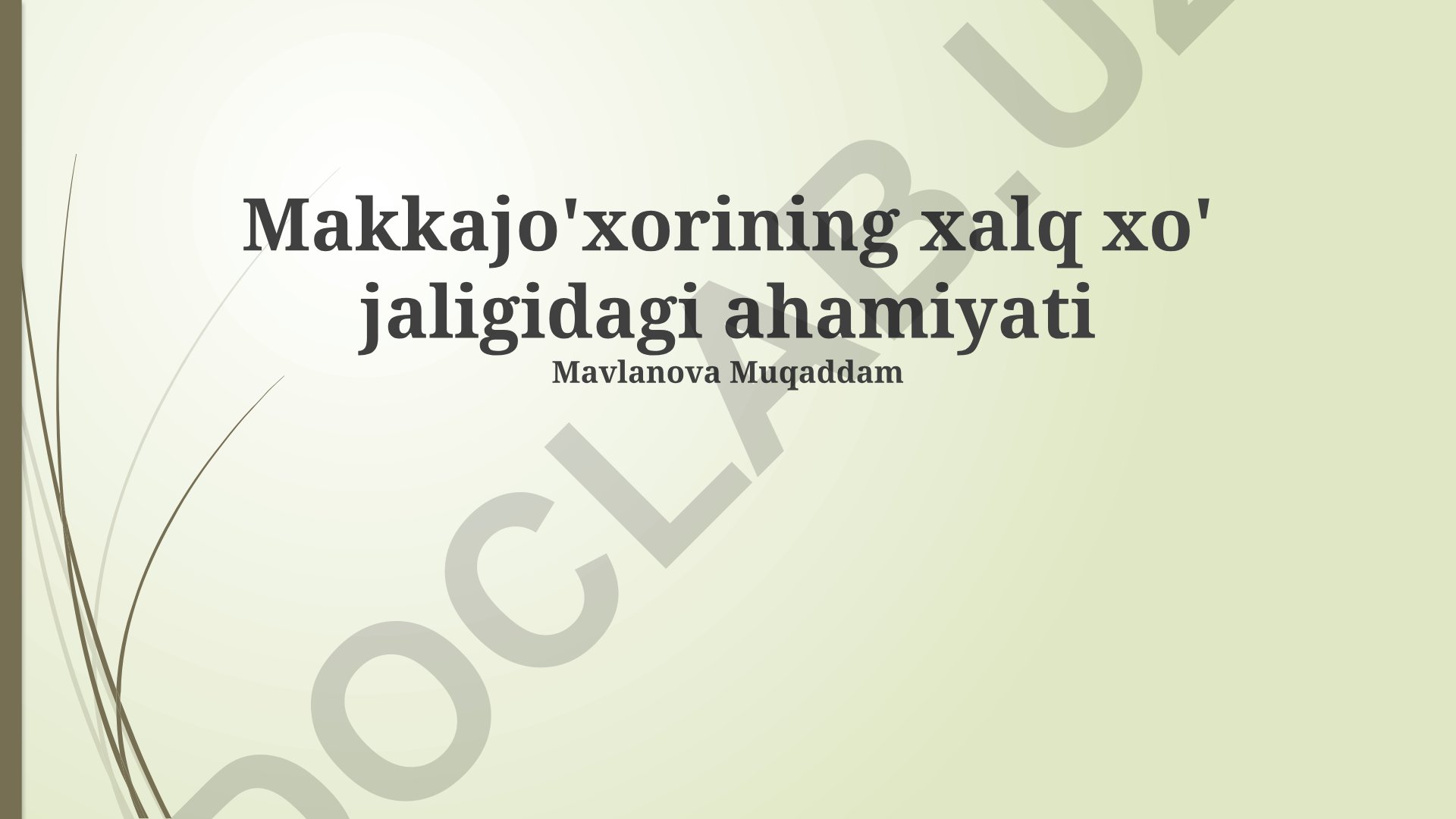 Makkajo'xorining xalq xo'jaligidagi ahamiyati