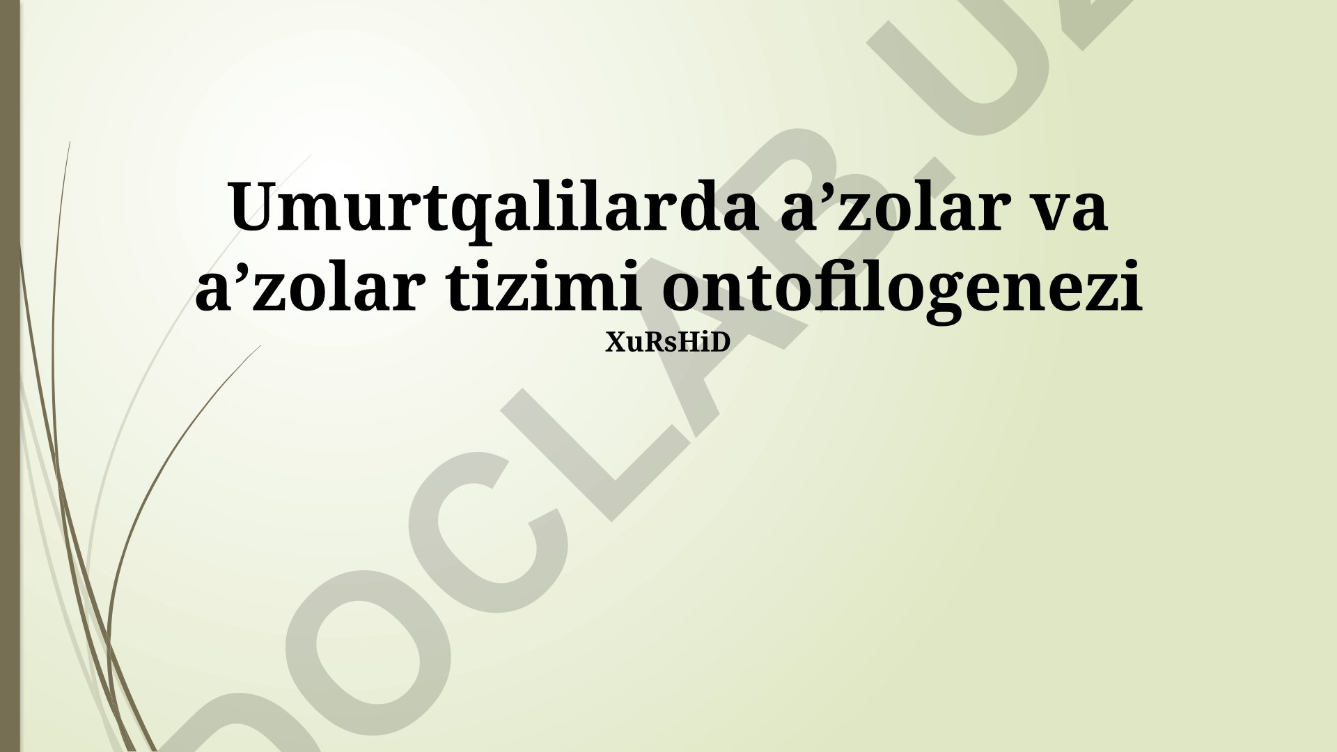 Umurtqalilarda a'zolar va a'zolar tizimi ontofilogenezi