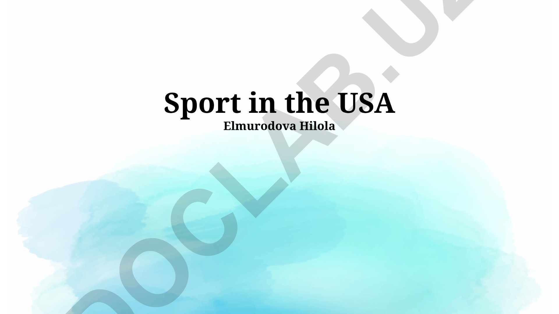Sport in the USA: Culture, Heroes, and Business
