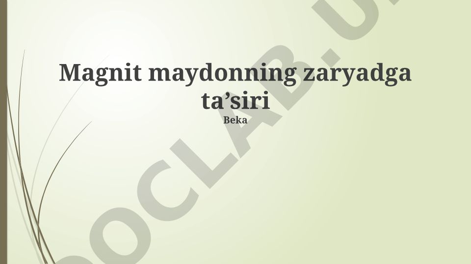 Magnit maydonning zaryadga ta'siri