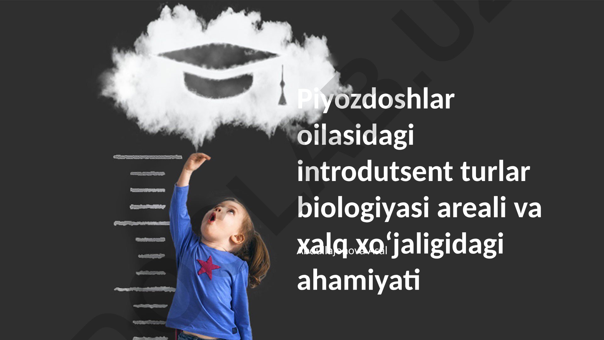 Pythonychidae oilasiga mansub kiruvchi turlar biologiyasi, iqtisodiy ahamiyati va tarqalishi