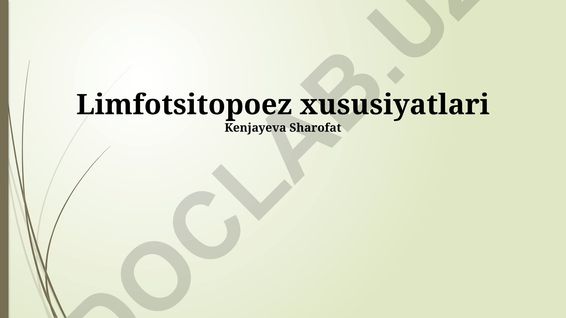 Limfotsitopoez xususiyatlari va limfoid hujayralar rivojlanishi