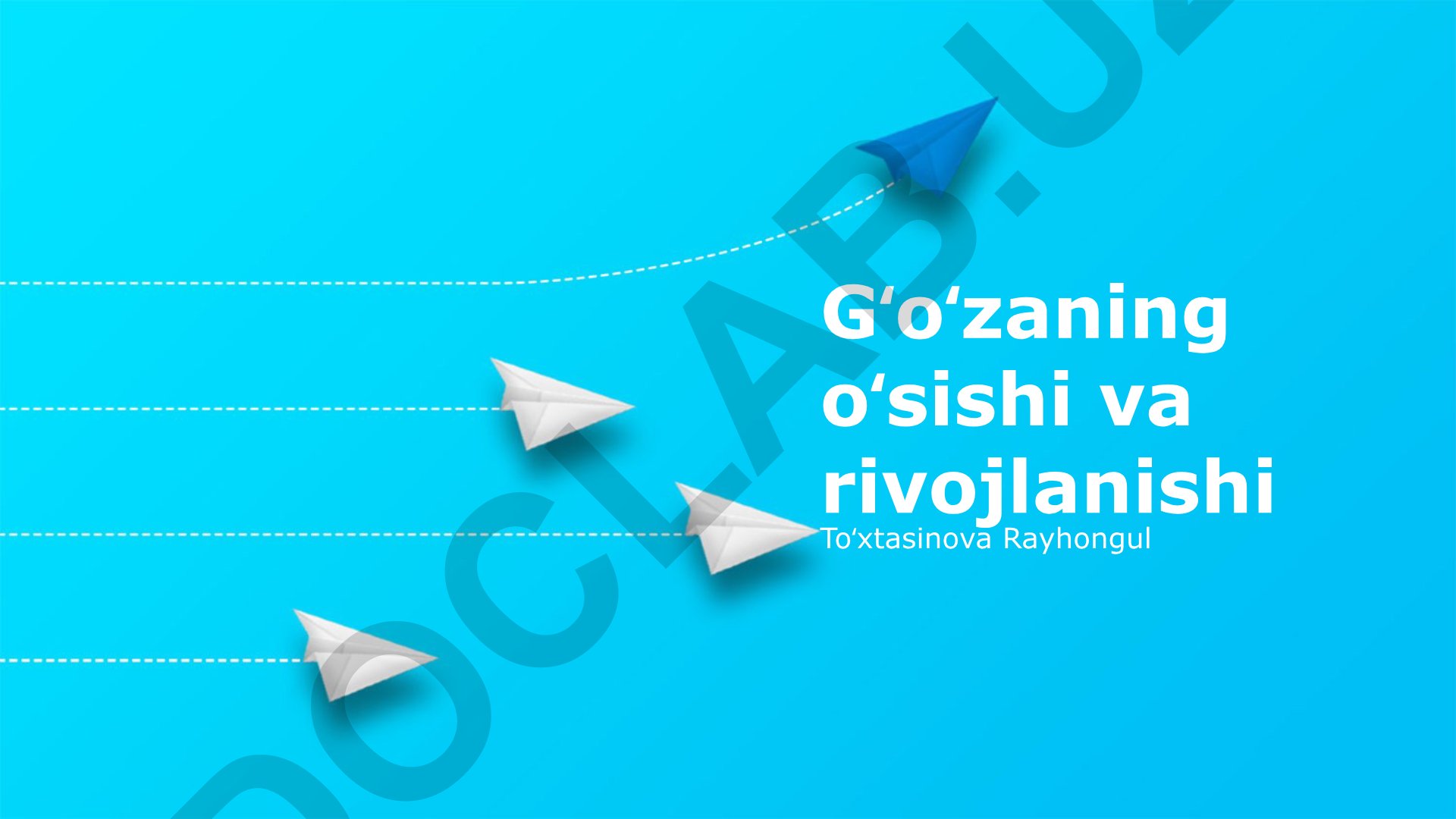 Gʻoʻzaning oʻsishi va rivojlanishi
