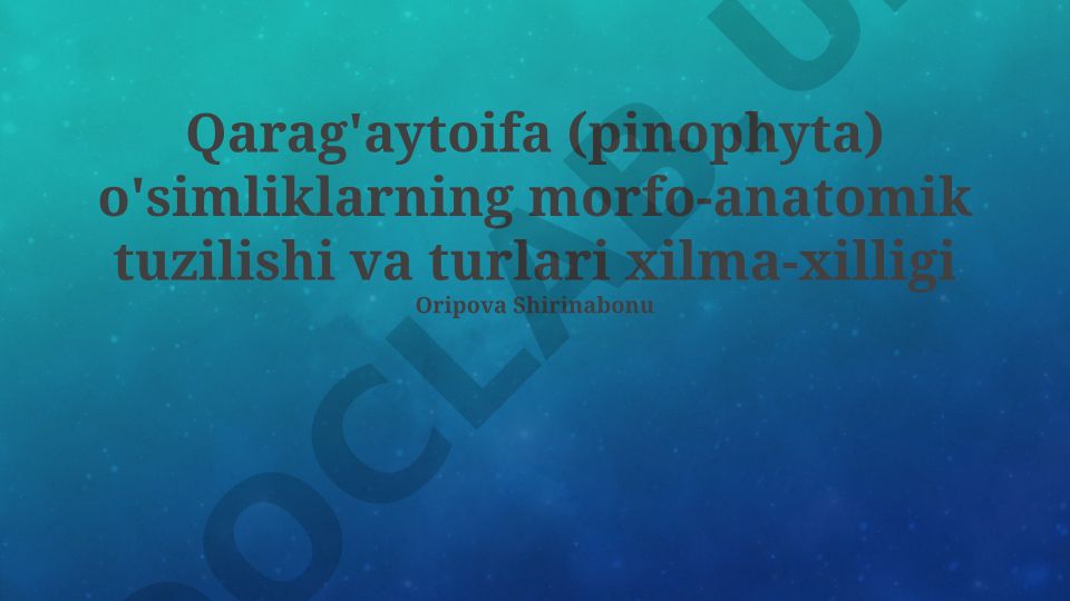 Qarag'aytoifa o'simliklarning morfo-anatomik tuzilishi va turlari xilma-xilligi
